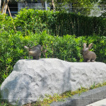 座落於大塊森濤景觀庭園後方的街道家具，以大自然生態(tài)為靈感創(chuàng)作《河畔青青》，建立起土地與建築的對(duì)話，承載人們愜意悠然的片刻。