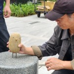 每一隻鳥兒都有著獨特的姿態(tài)和表情，彷彿在述說著它們自身的旅程與故事。