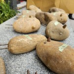 每一隻鳥兒的嘴喙，打磨得光亮、平滑顯得相當逗趣，描繪一隻隻收起翅膀想要自由卻又嚮往安定的鳥兒，即將在「新業(yè)築願景」築起與家人相守的巢。