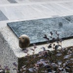 選用基地的石頭來做街道家俱，運用此塊土地生長出來的原石，透過人的創(chuàng)造，分享土地與建築之間的對話及溫暖守護的連結(jié)。 