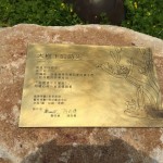 鐵樹與貓，樹屋與鳥，彼此共鳴出有溫度的故事，在此地生根萌芽。