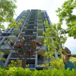 等待風(fēng)起、河畔青青