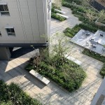 中庭 完工實(shí)景圖