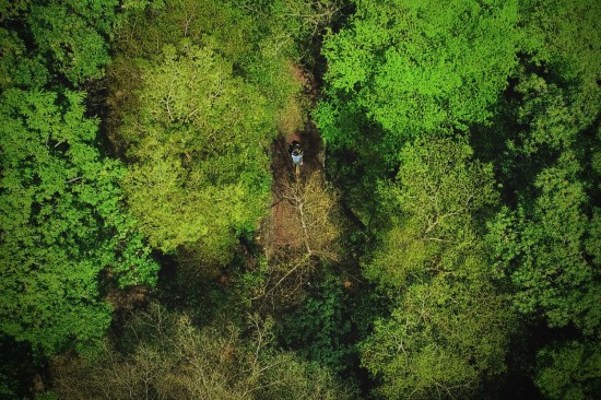 鳥瞰東光園道光景，築森鄰以氧森綠海為伴。