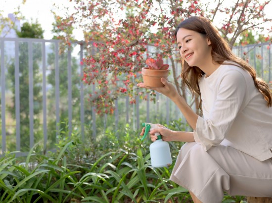 捧起微景，端看大塊美景的縮影。葉片勃發(fā)、欣欣向榮，與『大塊森濤』的靜好歲月相呼應(yīng)。