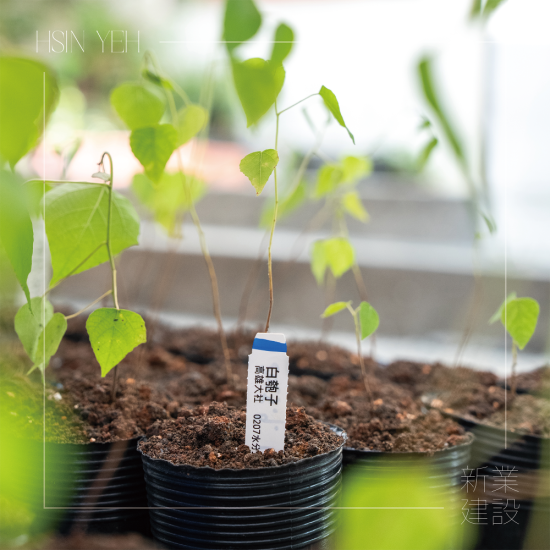 『臺灣山林復育協(xié)會』，核心目的是推動本土的生態(tài)教育，進行自然棲地的保護，在地種源的復育，及推動廢耕山坡地順應演替復育為自然森林的工作。