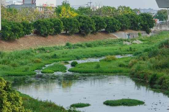 蜿蜒的筏子溪與新業(yè)做鄰居已經(jīng)有一段年月，縱長的河道是小魚小蝦們的家，讓我們一起保護牠們的家園，付出行動愛地球。