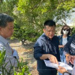 即使是一棵樹的規(guī)劃，也需方方面面、適居適所，為住戶帶來最能契合生活的好鄰居，打造自在森活的綠意空間。