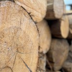 細(xì)看木紋的肌理、柔和，展現(xiàn)獨(dú)一無二的歲月，自然色澤，不僅帶來舒心感受，也能提升居家空間質(zhì)感。