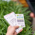 當(dāng)天新業(yè)職人們不只親力親為的為大肚山種下希望的樹苗，也捐出發(fā)票，為臺灣淺山森林再出一份力，也邀請更多的人一起關(guān)注 ＃我愛山林_5230。