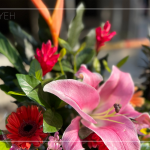 良辰吉日，透過聲聲祝禱，繫起天地與人之間的對(duì)話，期盼2024年完工的【築森鄰】完美收尾。