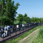 南勢溪集水面積約9.53平方公里，水質(zhì)良好，周圍仍保留自然生態(tài)風(fēng)貌，水利局打造1.8公里長的河流與綠親水廊道，透過廊道下到溪邊與自然更加親近。