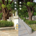 「幫近20棵的茄苳樹換新家」－因原有的花臺(tái)過(guò)小，喬木生長(zhǎng)空間有限，新業(yè)團(tuán)隊(duì)重新打造舒適的巢穴。