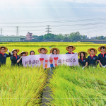 邁入第14年的契作認(rèn)養(yǎng)，以友善農(nóng)法耕作，保障農(nóng)友收益也為環(huán)境留下良田。