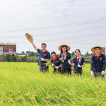 每逢秋旬，稻田阡陌相連，瀰漫著稻草與泥土的芬芳，成就了一串串飽滿稻穗，在秋收時節(jié)，一同感受來自大地的禮贊。