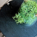 春天的指尖輕輕撫上玻璃罐，紛紛的綠意藏不住，也竄出枝枒熱情回應(yīng)著春天的問(wèn)候。