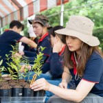 確切的紀錄樹苗品種及分盆日期，分盆完的小樹苗會統(tǒng)一放在中央培育區(qū)，待長到30CM至1M再種到大肚山。