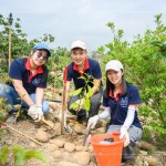 新業(yè)建設(shè) 邱正光 副總經(jīng)理(圖中)攜手各部門同仁，益起為大肚山森林當(dāng)起生態(tài)志工。