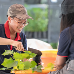 當天換盆樹種之一的山芙蓉，又稱三醉芙蓉，需要強日照，且耐旱，在開花後的一天之中，會有三種顏色變化，像是表情善變的美人。