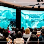 冰島沙灘上躺滿了大小形狀不一的冰塊，像極了鑽石，晶瑩剔透、藍(lán)白相間，從冰河母體崩解，流落到冰河湖再漂向大海，流連在海岸線上，古老冰河的遺骸，年歲比陸地上最古老的神木都要老上百萬倍。