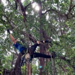 樹林中的「蜘蛛人」，利用腳鎖式（Footlock）快速攀升到切點，時而擺盪、時而穿梭林間，其中技巧有著大大學問。