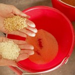 由碾米機(jī)處理過(guò)的白米一亮相，即可與尚未脫穀的稻米做出明顯區(qū)別。