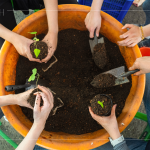 復育森林，並非將樹種滿，而是選擇適地適種的原生種，透過 ＃樹苗培育，達到生態(tài)平衡，維持生物多樣性。