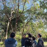 樹形整體飽滿度、分枝錯落的方向，以及360°環(huán)繞視角下，是否能達成美的平衡，皆是選樹時重要的考量。