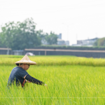 支持霧峰在地三代小農，友善耕作，堅持品質，嚴選品種，保留大地最純粹的溫柔。