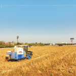 放眼望去猶如金黃稻浪，結(jié)綴累累的稻穗是農(nóng)民們辛勤付出的最美風(fēng)景。