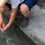 用清水將雙腳洗淨(jìng)，感受大自然的洗禮，就像是一場(chǎng)踏入自然界的感官之旅。