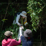 帶上夾子、爬上邊坡，草堆之間可以明確看到這些待清除的「不塑之客」，唯有仔細(xì)尋覓，才能還給河川與自然乾淨(jìng)的家園。