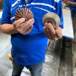 專業(yè)磨石材「造型師」登場(chǎng)！左邊的工具適合硬度較高的花崗巖，右邊則適合切割硬度較軟的大理石，儼然已經(jīng)摸清石材的脾氣與習(xí)性，不同石材也需要不同的工具處理。