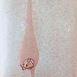 環(huán)繞並形塑出平易且溫暖的印象