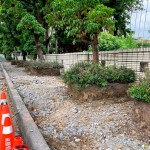 舊有人行道拆除工程，新業(yè)保留原有的樹穴，還給喬木更多的生長(zhǎng)空間，美化的同時(shí)也善待環(huán)境。