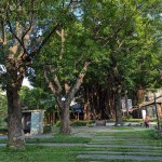 綠意盎然的臺中文學館，有近百株繁盛花草樹木，環(huán)繞日式時代的百年建築，有著說不完、道不盡的人文歷史，不妨親自巡禮一番。