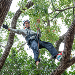 接獲攀樹(shù)挑戰(zhàn)的大人們，不惶多讓直攀樹(shù)稍，近距離欣賞樹(shù)冠的雄偉壯麗