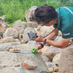 特別挑選顏色鮮豔的『黃金角石』，鋪墊後院生態(tài)水池的底部，即使是一顆顆石頭的規(guī)劃，也需要適居適所。