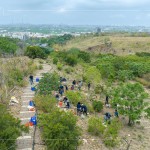 防火林帶建置—保留了野生樹種，種下榕屬植物，透過樹島的母樹大量逸散種子，長出野生樹苗，來加速森林演替、生生不息。