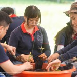 透過植樹活動落實減碳淨零的計畫，新業(yè)希望以行動展現(xiàn)對這片寶島土地的關懷，齊心打造綠色永續(xù)環(huán)境。