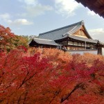 楓紅灑落，一片紅海蔓延至東福寺通天閣，一片靜謐彷若與世無爭的世外桃源。