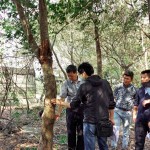 樹形整體飽滿度、分枝錯(cuò)落的方向，360°觀看下是否皆能達(dá)成美的平衡等皆是新業(yè)選樹的考量。