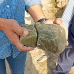 選擇表面上有些許青苔的「苔石」，作為溪流瀑布區(qū)的砌石。將天造之物與『大塊森鄰』的日常景色融合為一。