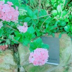 枕在石上的手札本，藏在詩中的少女情懷正等著誰翻閱？