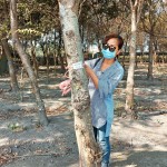 選定每棵樹木後，新業(yè)團(tuán)隊(duì)會(huì)以紅色緞帶繫上樹幹紀(jì)錄，宛如為櫸木與『築之細(xì)道』之間密不可分的「紅線」。