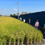有用心栽培的樹種，新業(yè)便踏著腳步前往尋蹤，期望樹木與建築能自然地融合，
模糊與天地大美的界線。