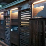 在黃光暈染下，貓也慵懶地窩著身子，大樹時(shí)而抖落紅葉，正等待著，有人攜書悄然來(lái)到……