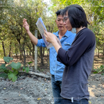 林宜鋒建築師(右一) 與景觀設(shè)計團隊從不同方向繞樹觀察評估，擇樹考量的方方面面，任何角度都要達到美的平衡。