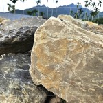 今年盛夏之際，新業(yè)團隊前往南投國姓鄉(xiāng)，為2025年即將落成的『大塊森濤』，挑選庭園造景的原石。