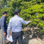 羅漢松為東亞地區(qū)常見的常綠樹木，樹枝柔韌且抗風(fēng)性強，更有象徵幸福安康、健康富貴之意，可謂是造景設(shè)計的首選。